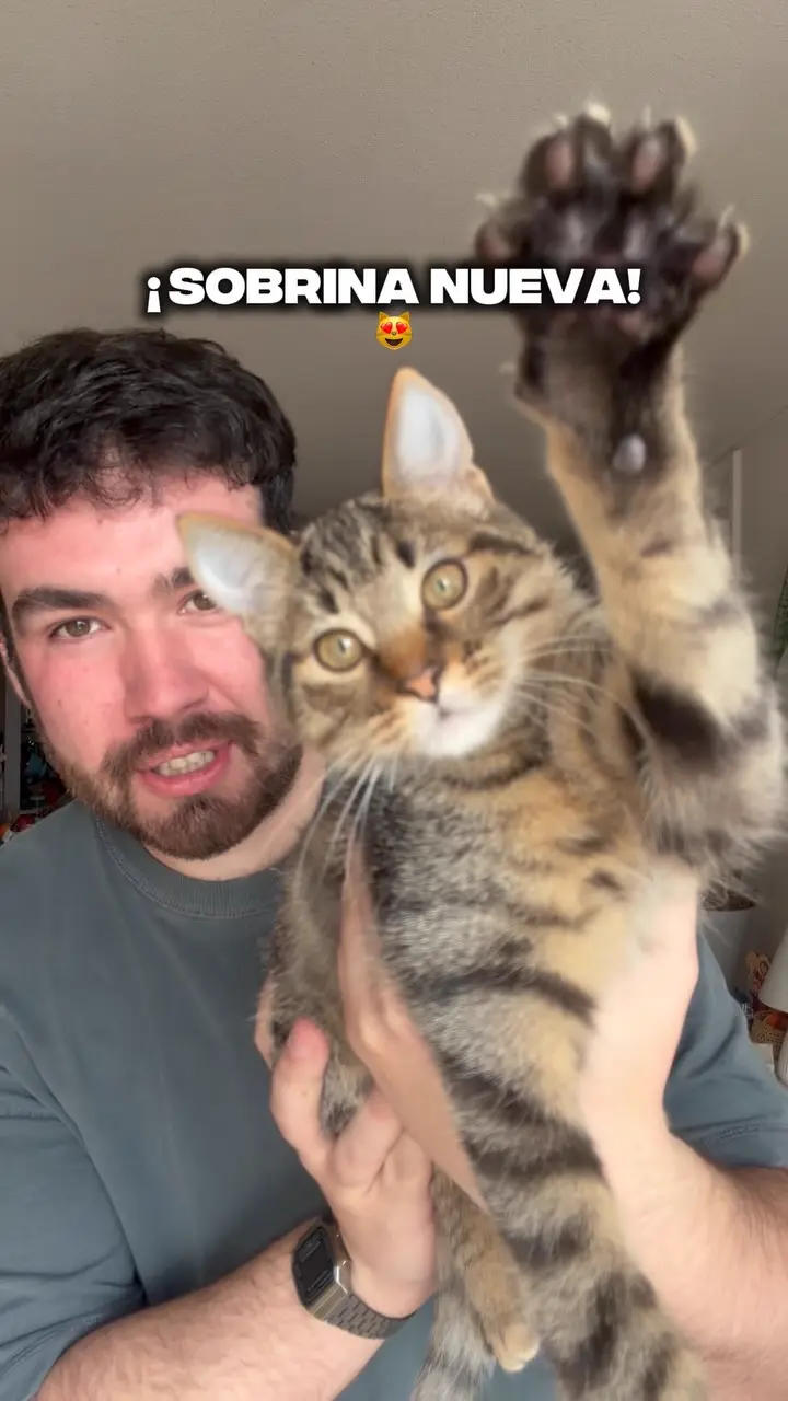 @_.alvaricoke._: el humor y las mascotas que enamoran en Chile