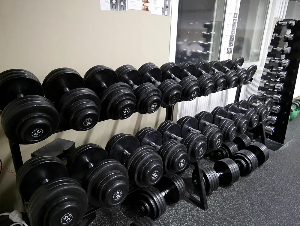 Rack de mancuernas de distintos pesos en un gimnasio, referencia al contenido de entrenamiento de fuerza en Instagram Chile